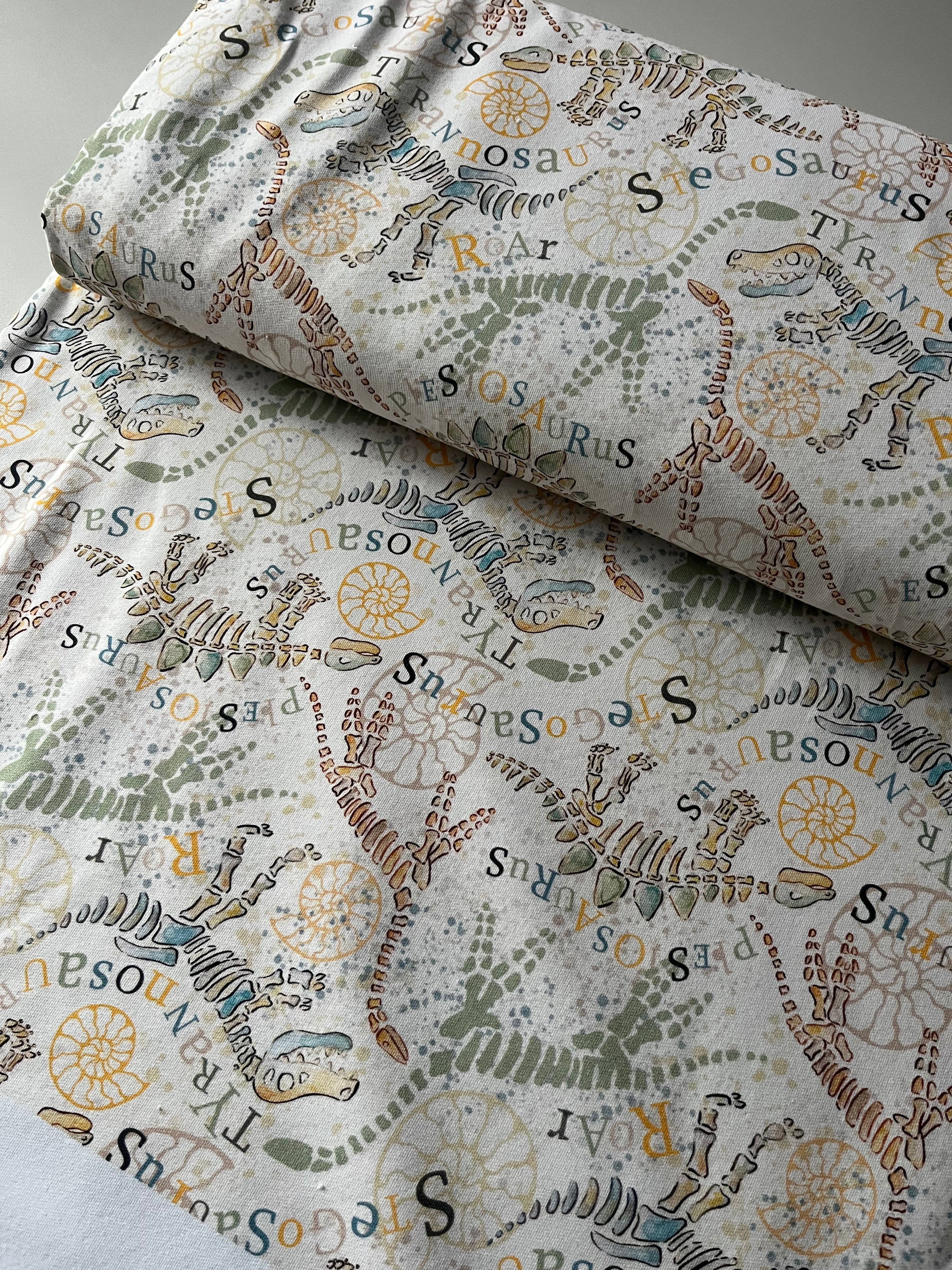 Dino French Terry Lagerware